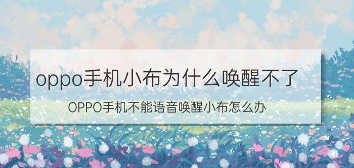 oppo手机小布为什么唤醒不了 OPPO手机不能语音唤醒小布怎么办？